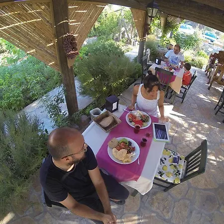 Iris Guest house *