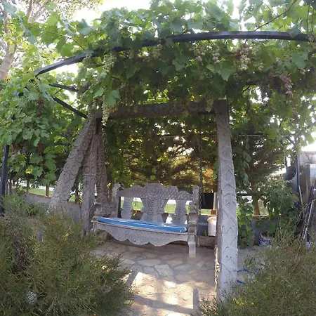 Iris Guest house *